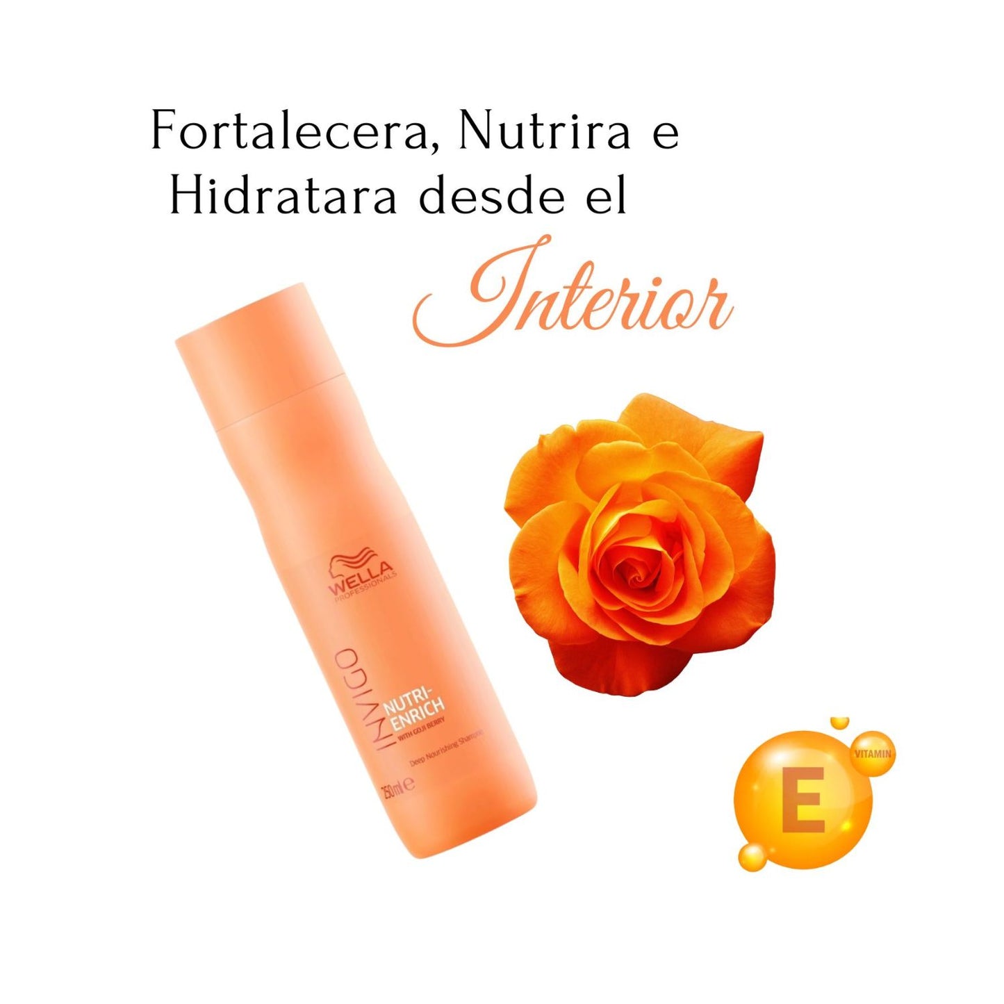 Shampoo Wella Invigo Nutri Enrrich 250ml Nutricion Profunda