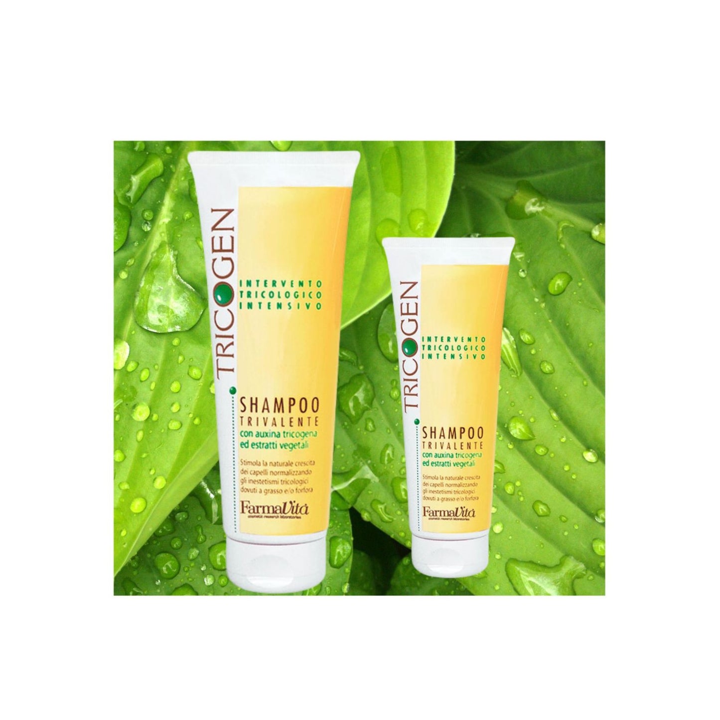 SHAMPOO TRIVALENTE CONTROL CAIDA 250ML