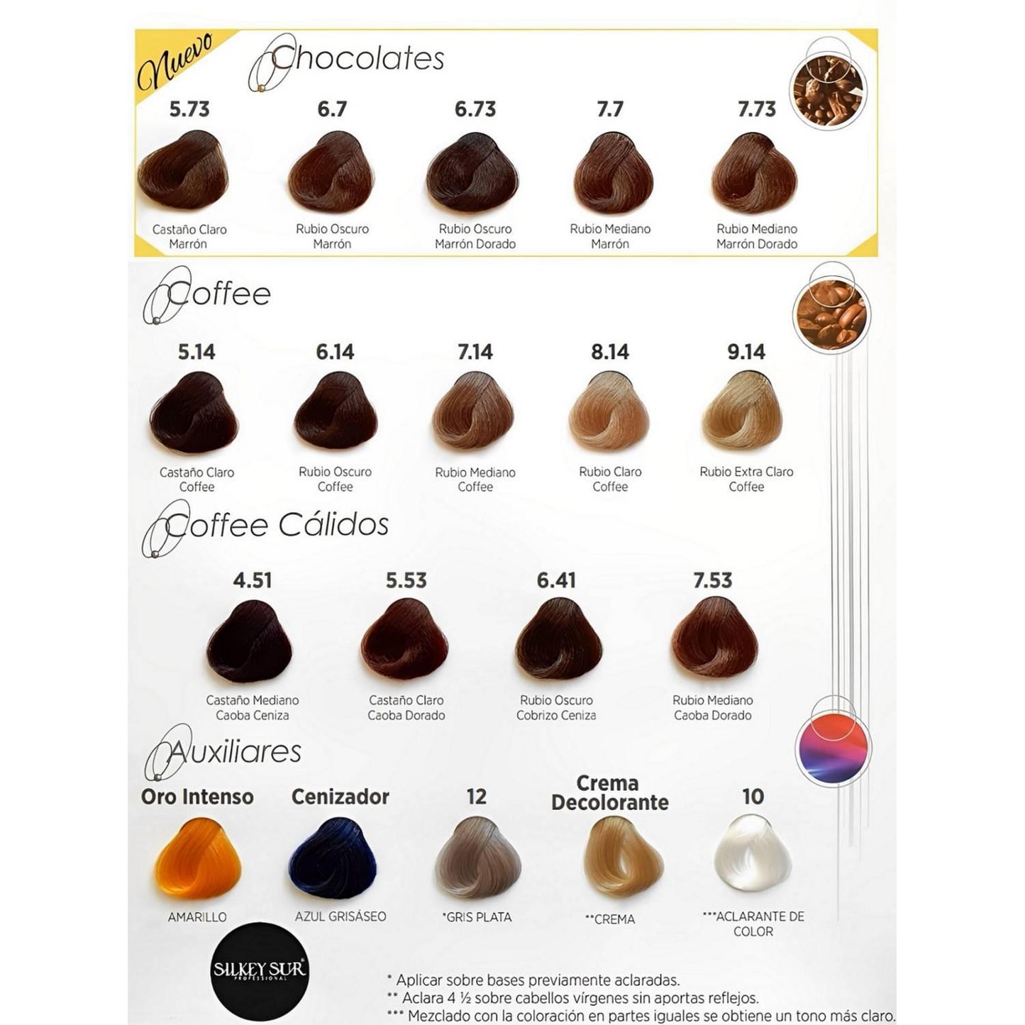 Tintura Silkey Colorkey Millenium Profesional 120gr Numero12