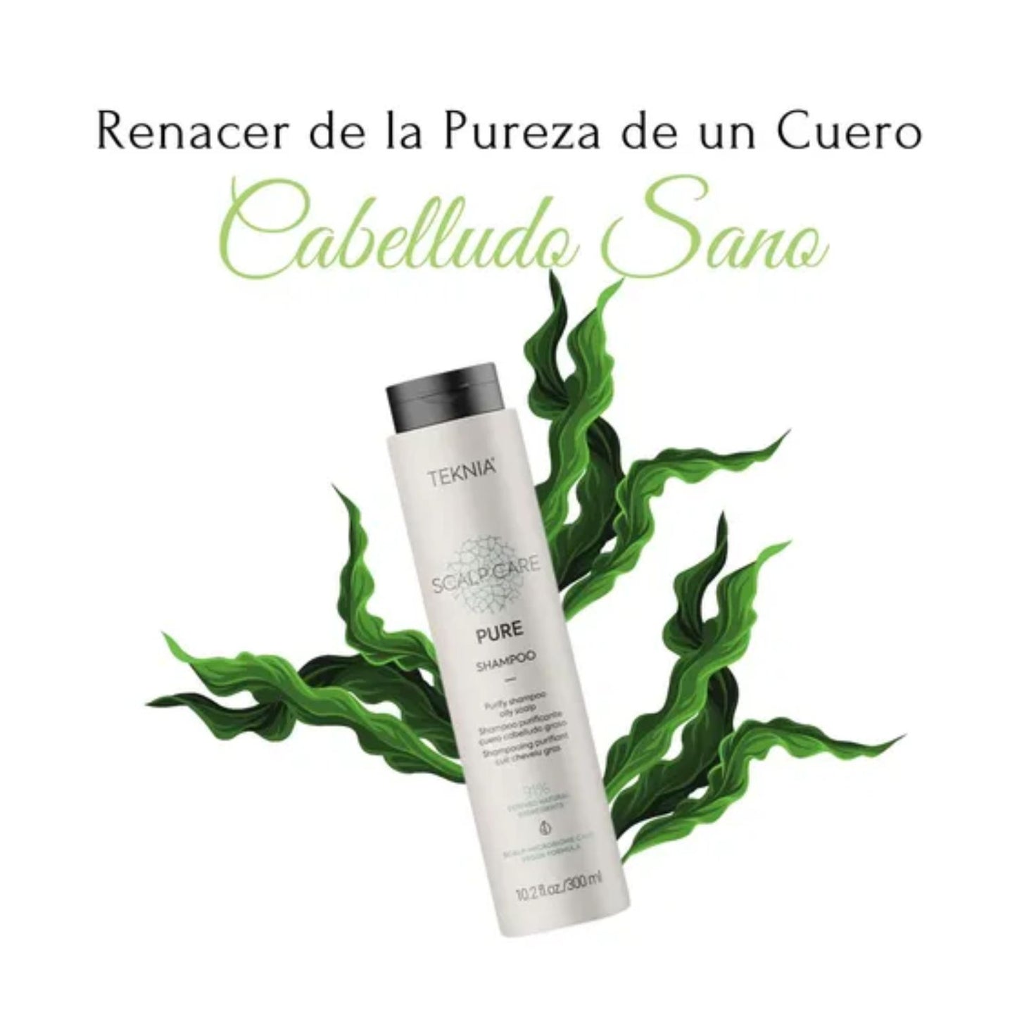 Shampoo Lakme Teknia Scalp Care Pure 300ml  Sebo Regulador Purificante