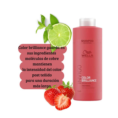 Shampoo Wella Invigo Color Brillance 1000ml Purifica Metales