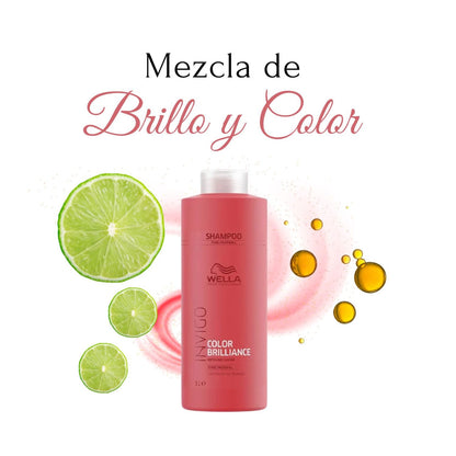 Shampoo Wella Invigo Color Brillance 1000ml Purifica Metales