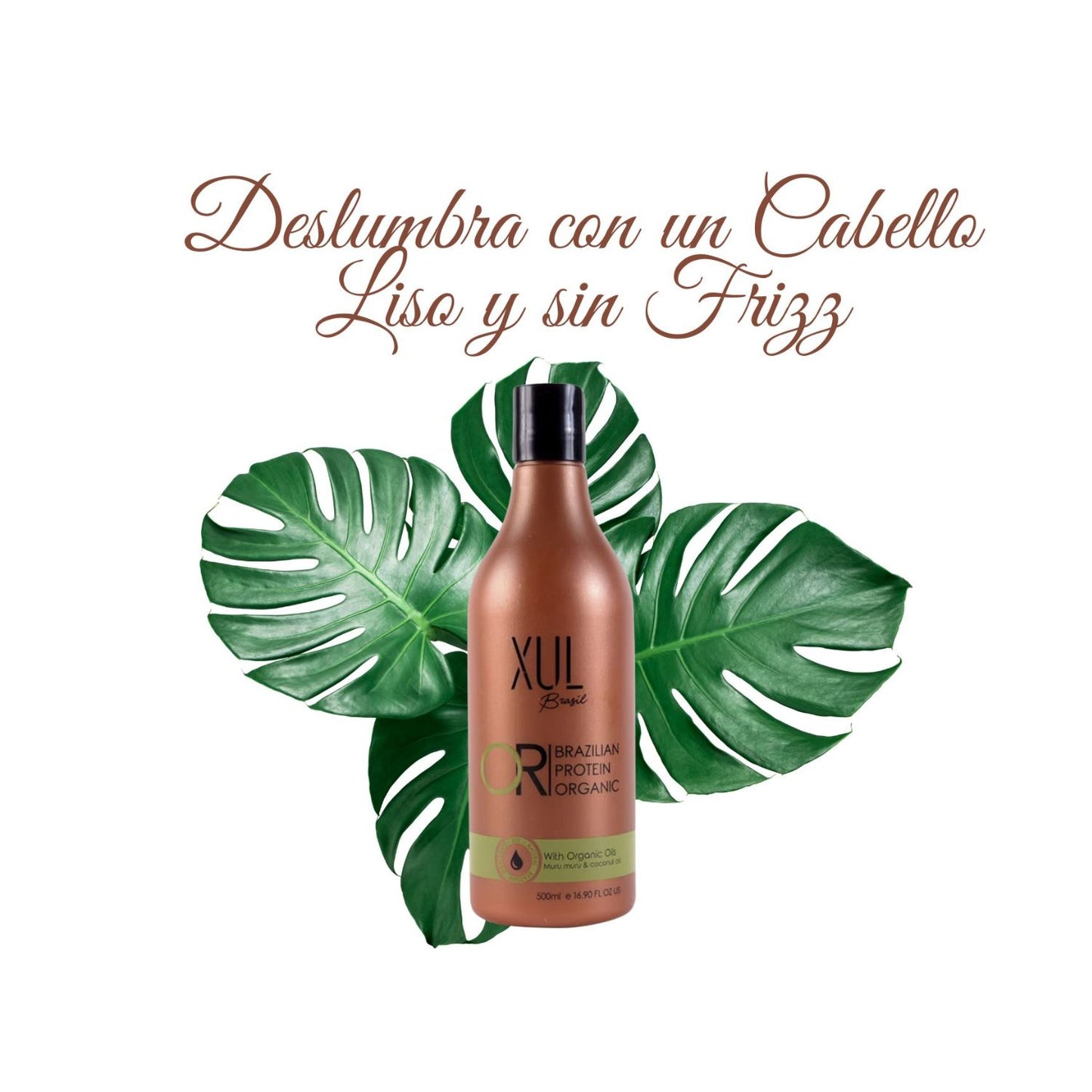 PASO 1 ALISADO ORGANICO 500ML XUL BRASIL OR