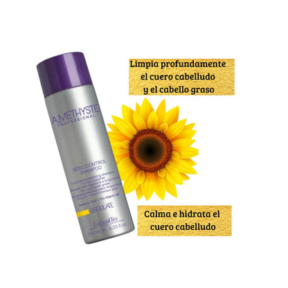 Shampoo Farmavita Amethyste Regulate 250ml Control Sebo