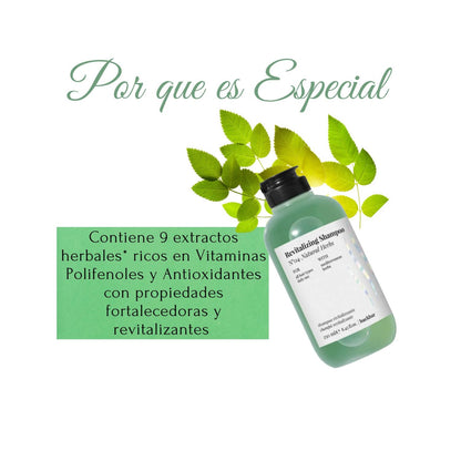 Shampoo Farmavita BackBar Natural Herbs 250ml Revitalizante