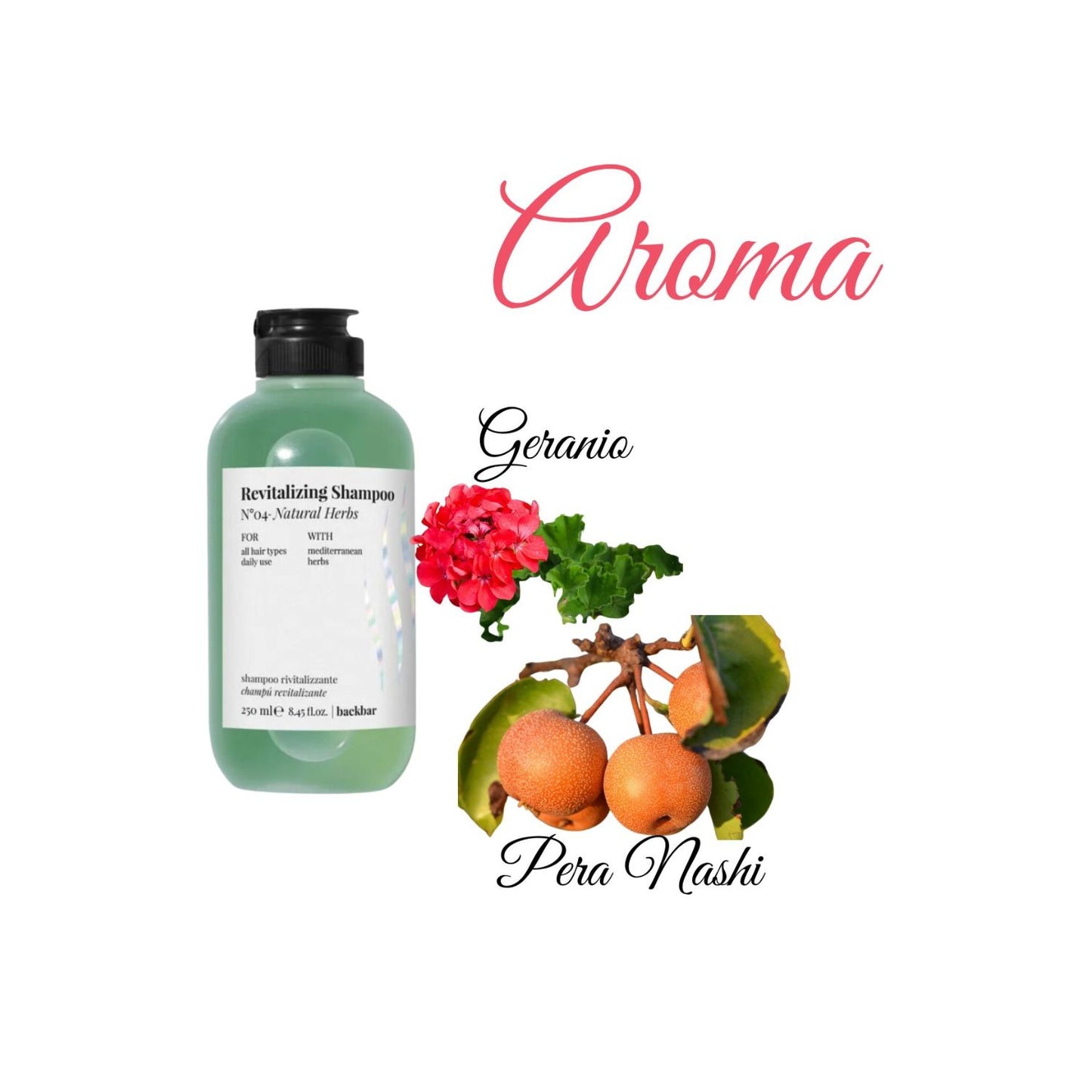 Shampoo Farmavita BackBar Natural Herbs 250ml Revitalizante