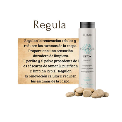 Shampoo  Detox Lakme Teknia 300ml Combate Caspa Suaviza Calmante
