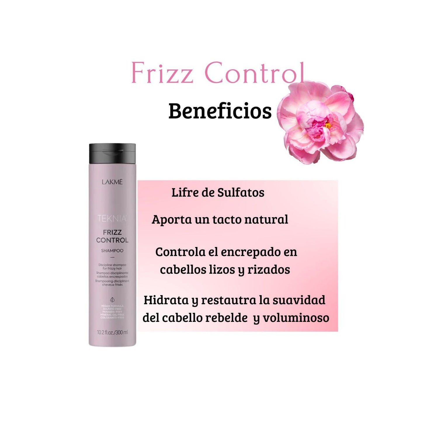 Shampoo Lakme Teknia Control Frizz 300ml Hidrata Restaura Suaviza
