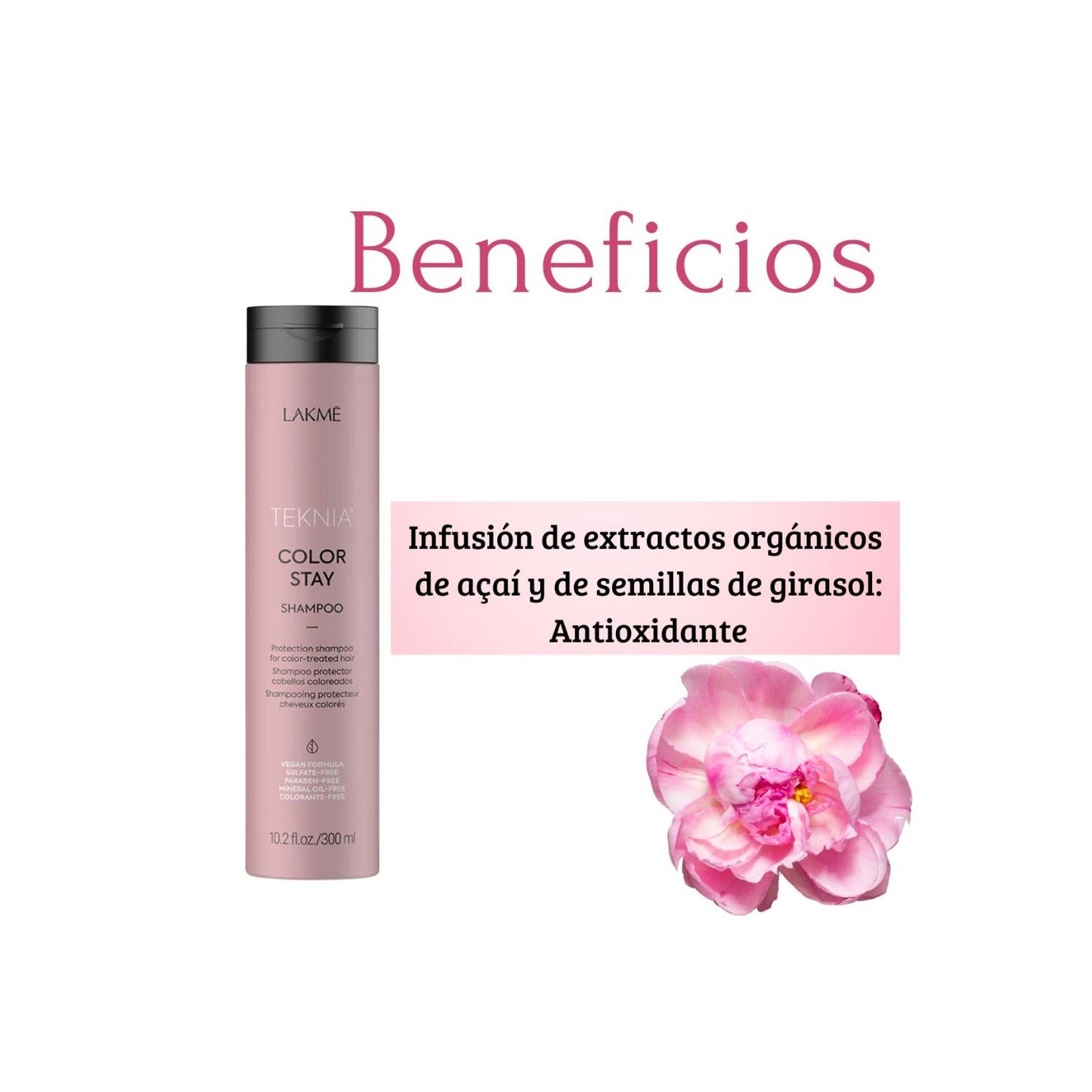Shampoo Lakme Teknia Color Stay 300ml Antioxidante Sella Color Brillo