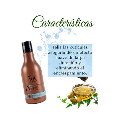 SHAMPOO ANTI-FRIZT XUL BRASIL  250ML