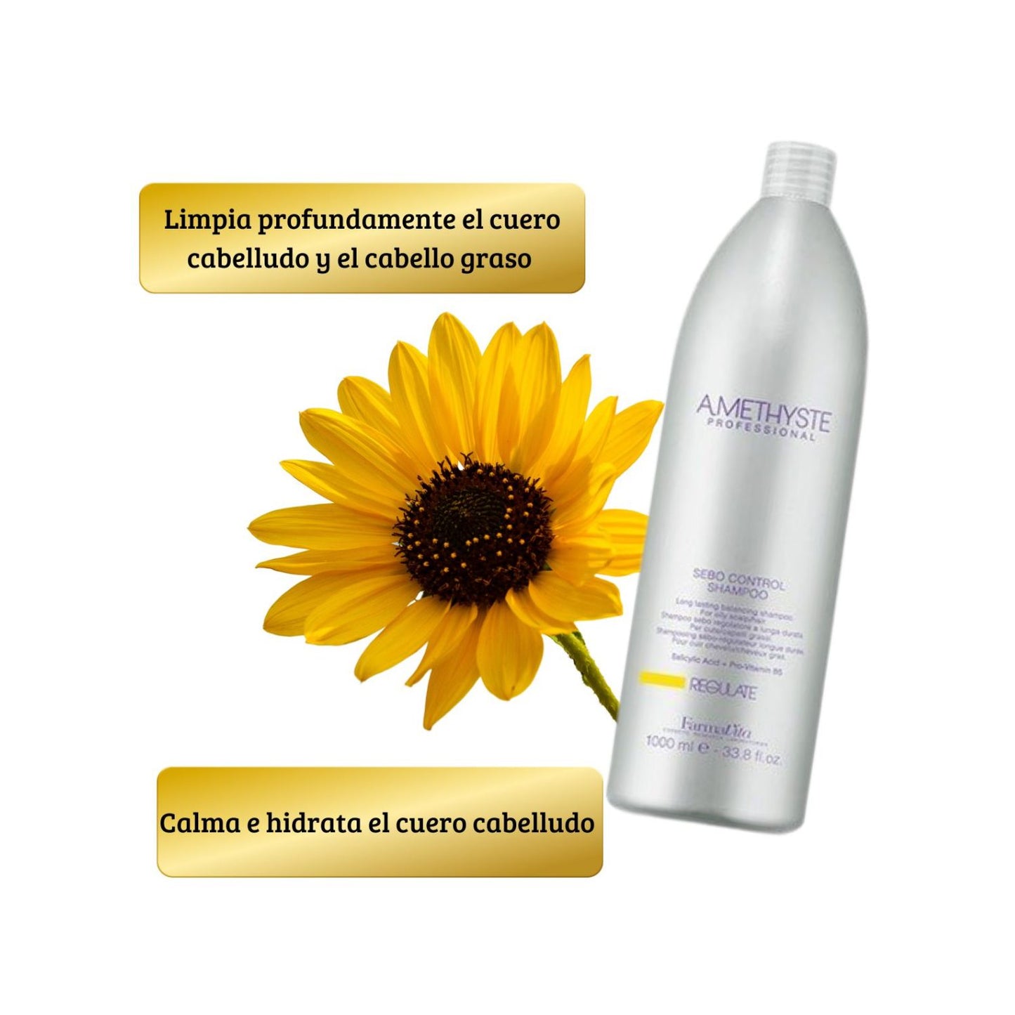 Shampoo Farmavita Amethyste Regulate 1000ml Acido Salicílico