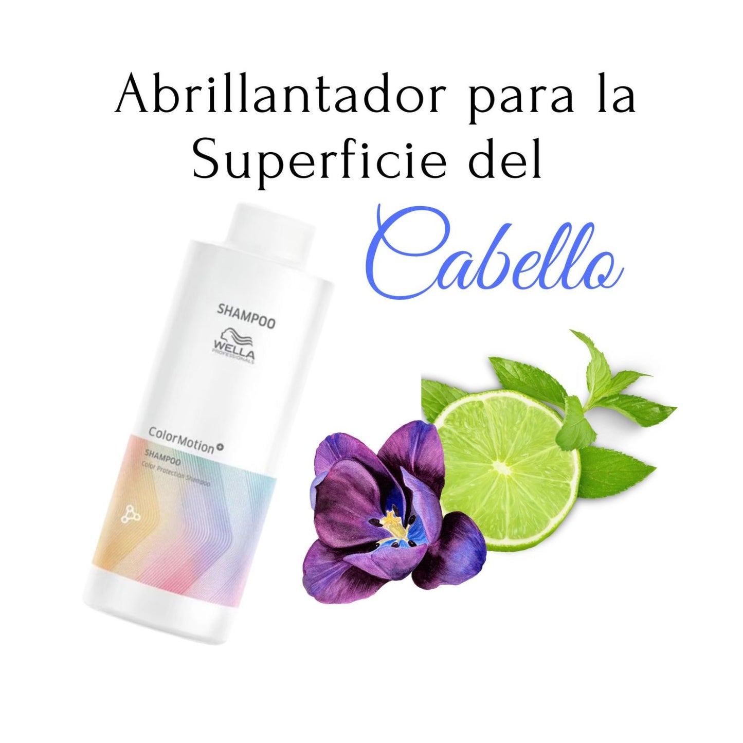 Shampoo Color Motion Wella 1000ml Tecnología Plex Brillo